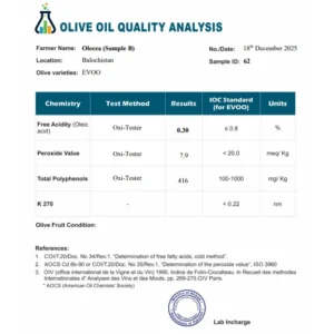 Screenshot 2026-01-12 003926