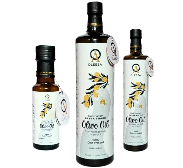 Untitled (600 x 550 px) (1)