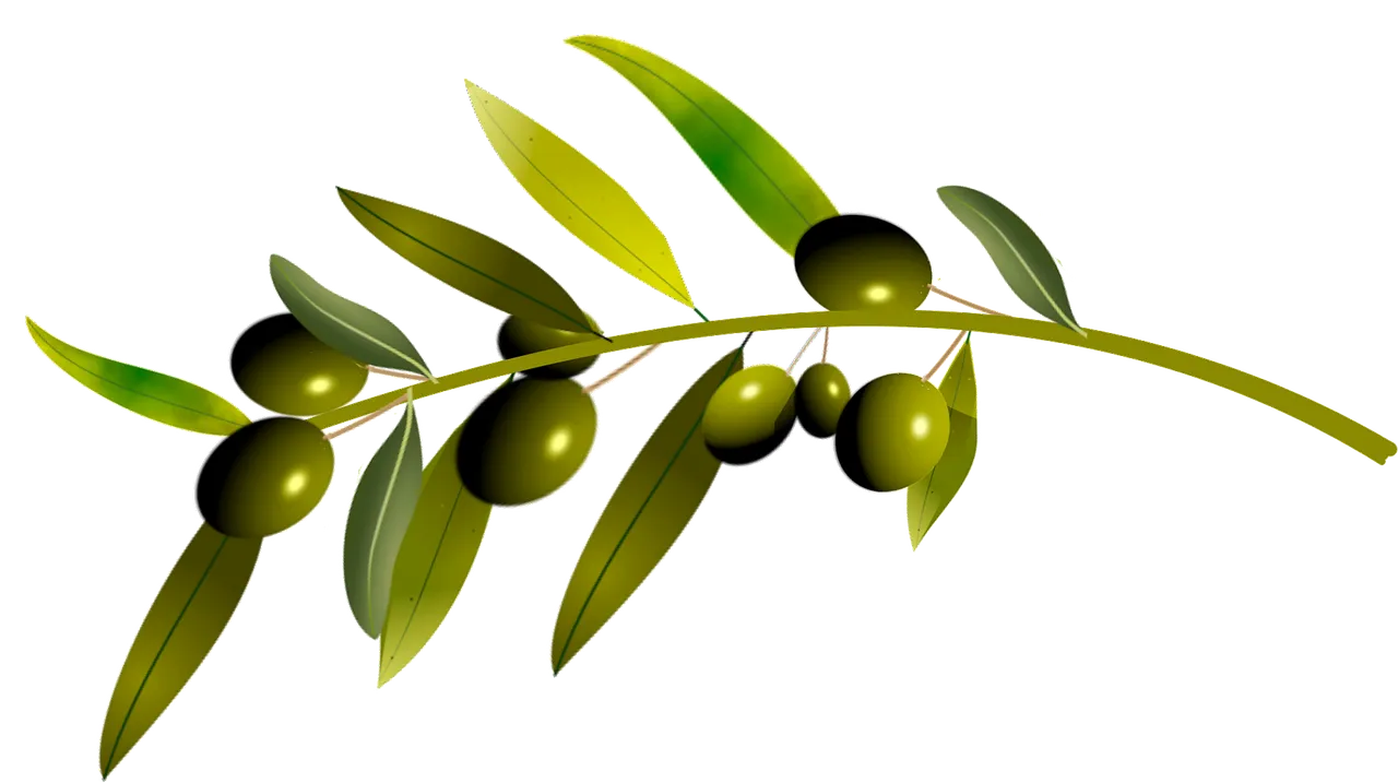 olives-4645520_1280